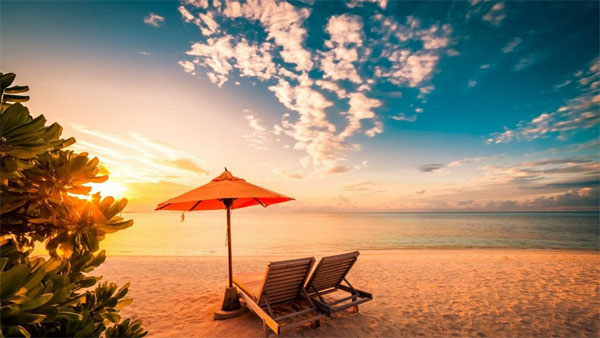 5 cosas que hacer en Tampa Bay durante las vacaciones