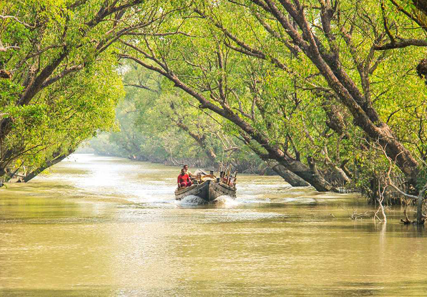 Bangladesh prohíbe el uso de plásticos de un solo uso en el bosque de Sunderban