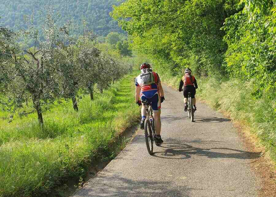 El cicloturismo se populariza en Europa