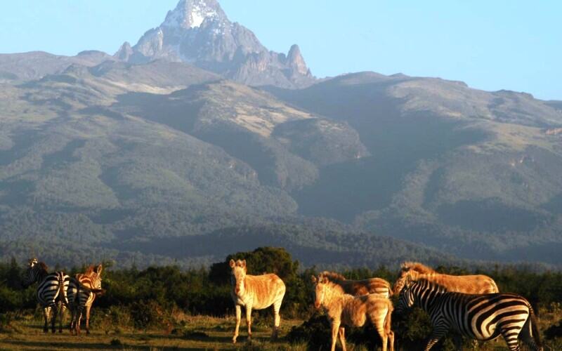 Kenia registra un aumento del 83% de los ingresos por turismo en 2022