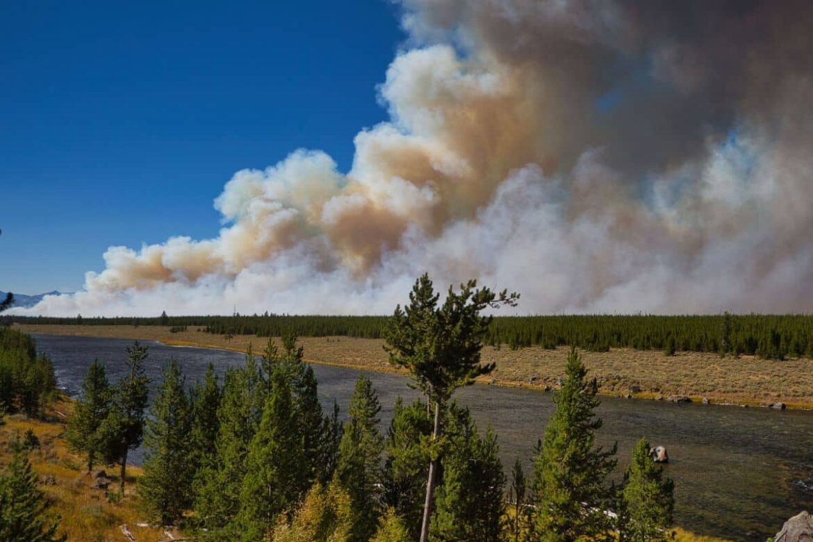 Este parque nacional de EE.UU. es el primero en sufrir un incendio forestal esta temporada