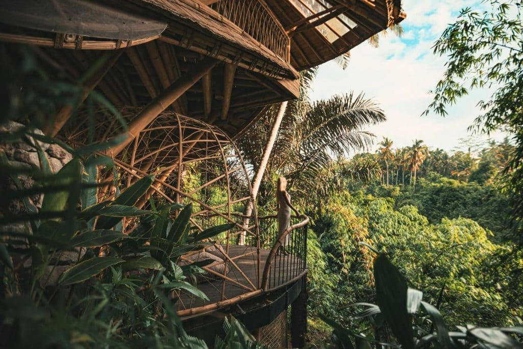 Un nuevo informe arroja luz sobre el floreciente sector mundial del ecoturismo