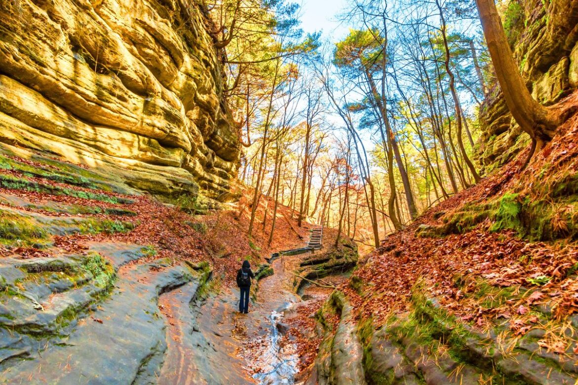 8 Mejores Lugares Para Visitar En Illinois En La Temporada De Otoño 2023