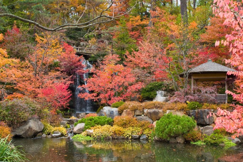 Jardines japoneses Anderson