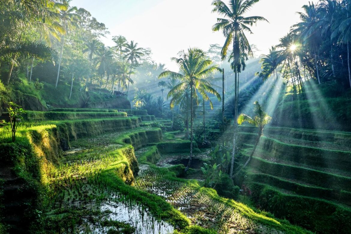 La nueva legislación de Bali ayuda a preservar su belleza natural