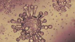 Declaración actualizada de Marriott sobre el nuevo coronavirus (COVID-19)
