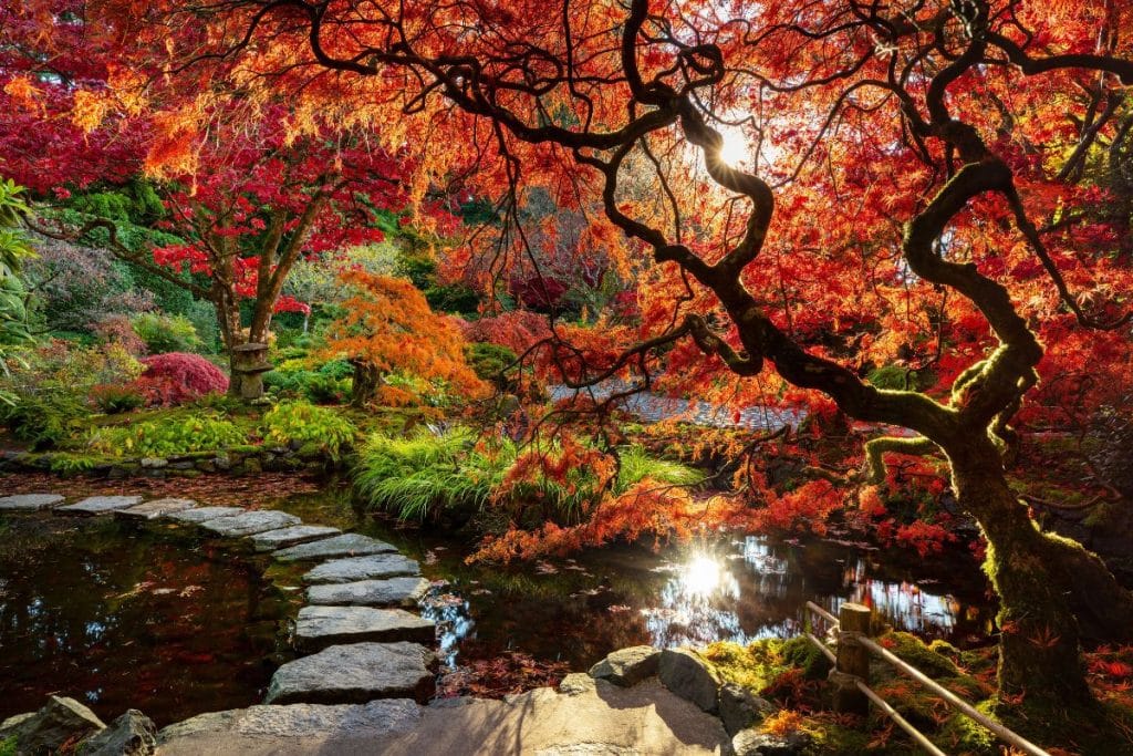Otoño en los Jardines Butchart