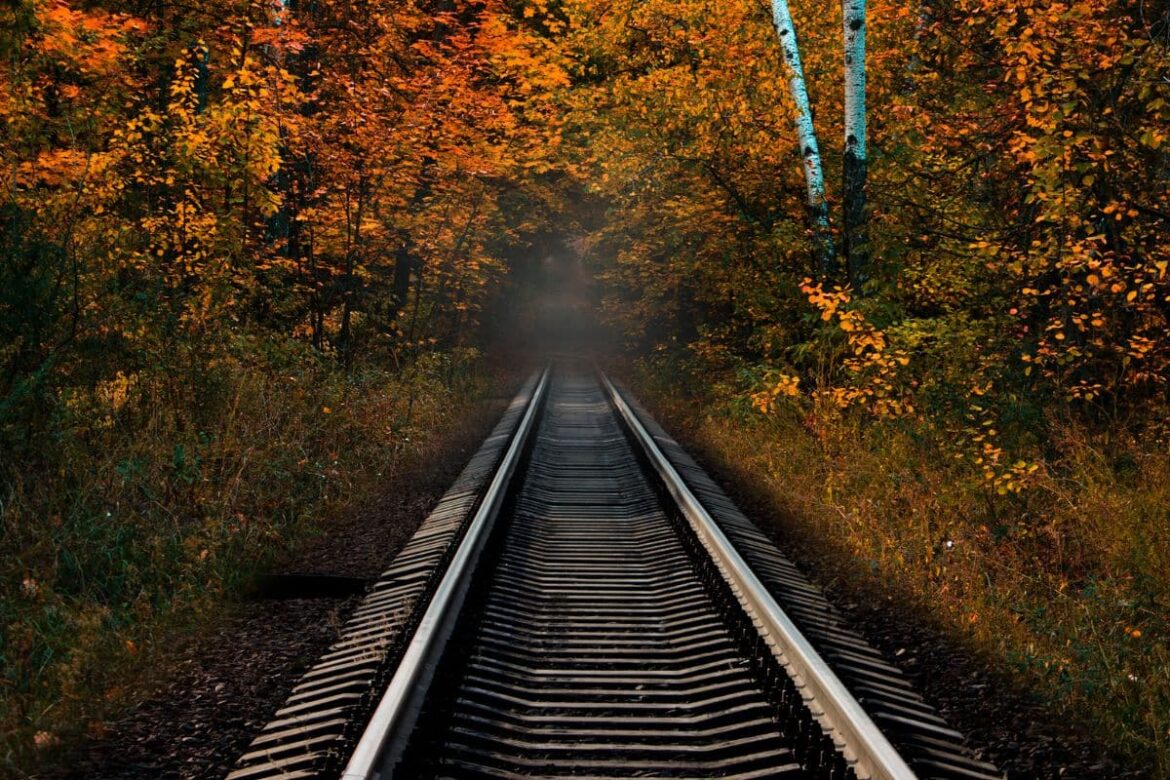A este bar secreto del bosque de secuoyas de California sólo se puede llegar en tren