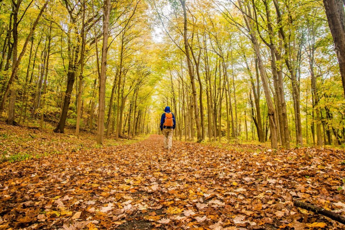8 Mejores Lugares Para Visitar En Connecticut En La Temporada De Otoño 2023
