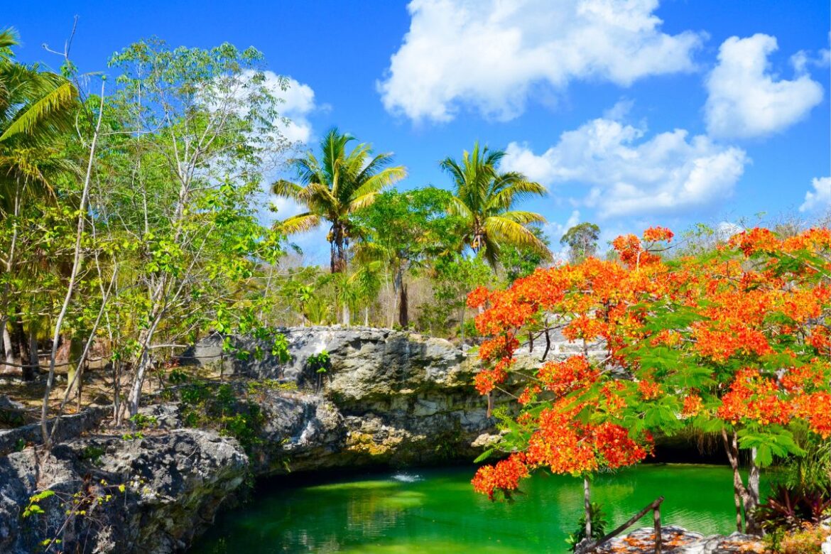 Nueva reserva natural para turistas en el Caribe mexicano